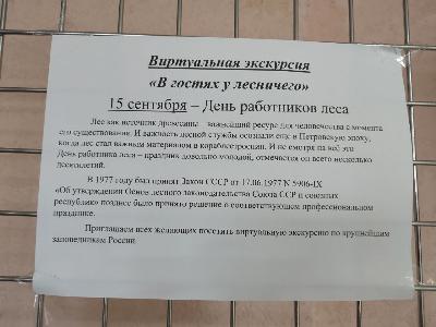15 сентября – День работников леса.