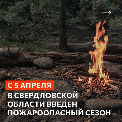 Шашлыкам и кострам в лесу – красный свет!