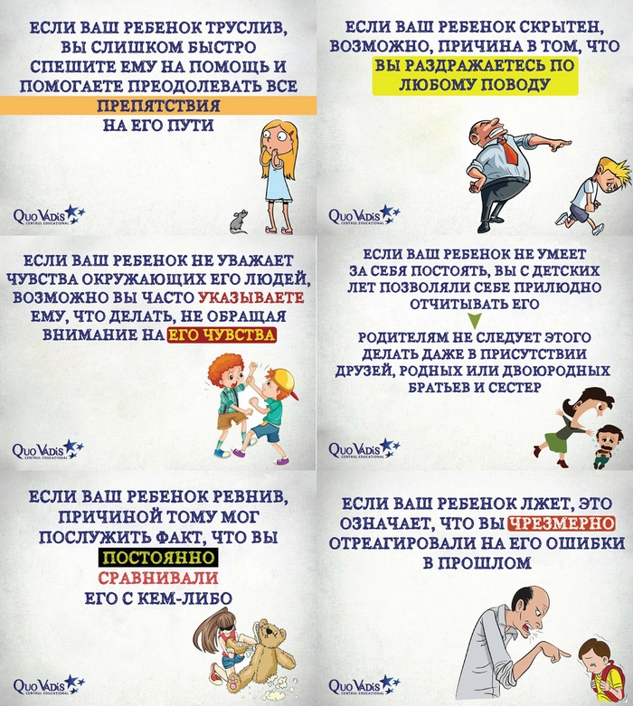 11.jpg 11.jpg