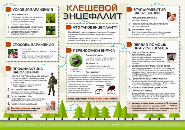 image (4).jpg