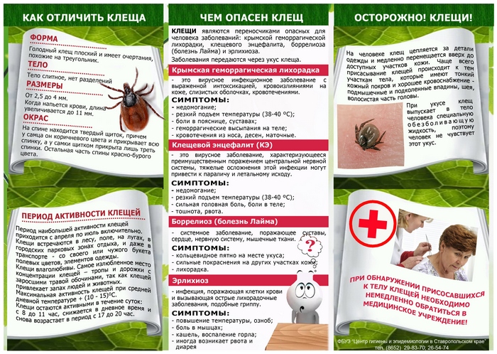 listovka_kleshhi_list_1_2017 (2).jpg